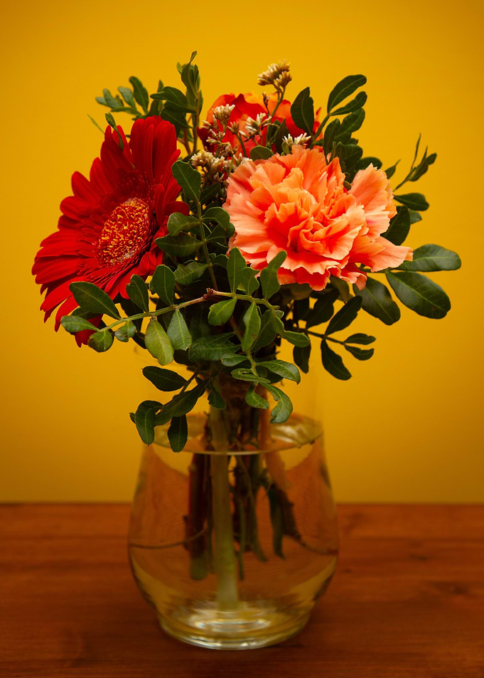 Red and Orange Flowers in Vase still life