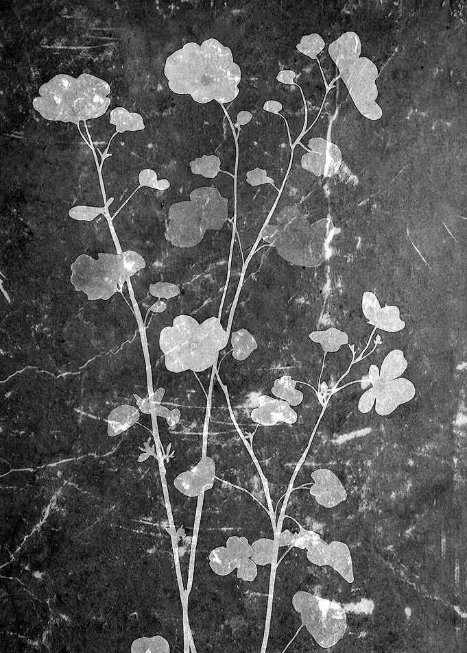 Silhouette Flowers on Dark Background