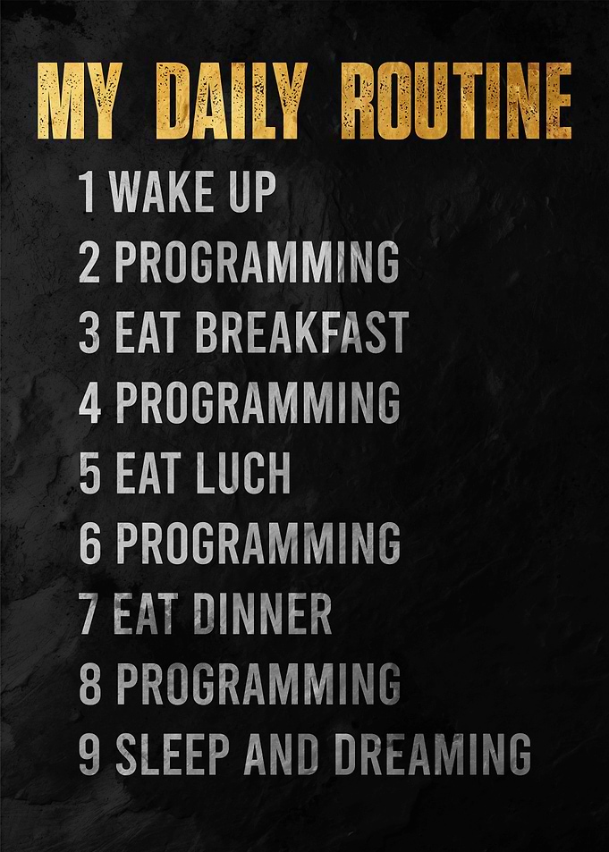 Programmer's Daily Routine