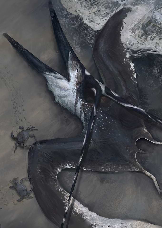 Nyctosaurus