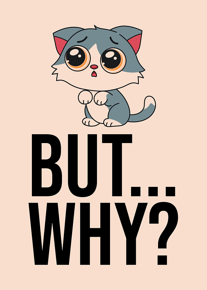 Cute Cat But Why?