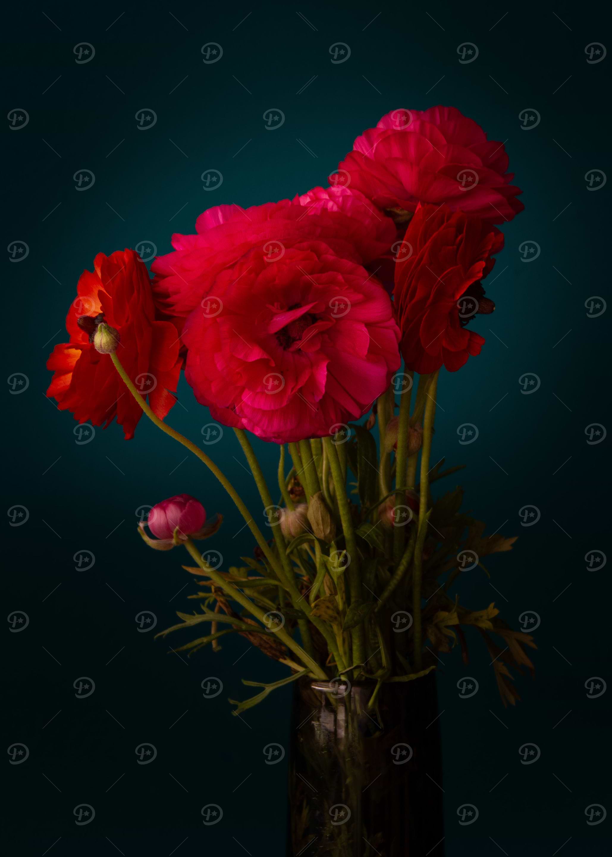 Pink Flowers in Vase