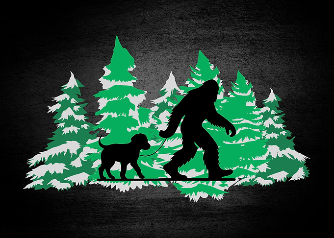 Bigfoot Walking A Dog