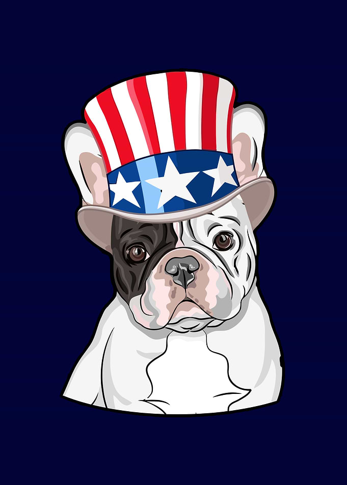 French Bulldog in Patriotic Hat