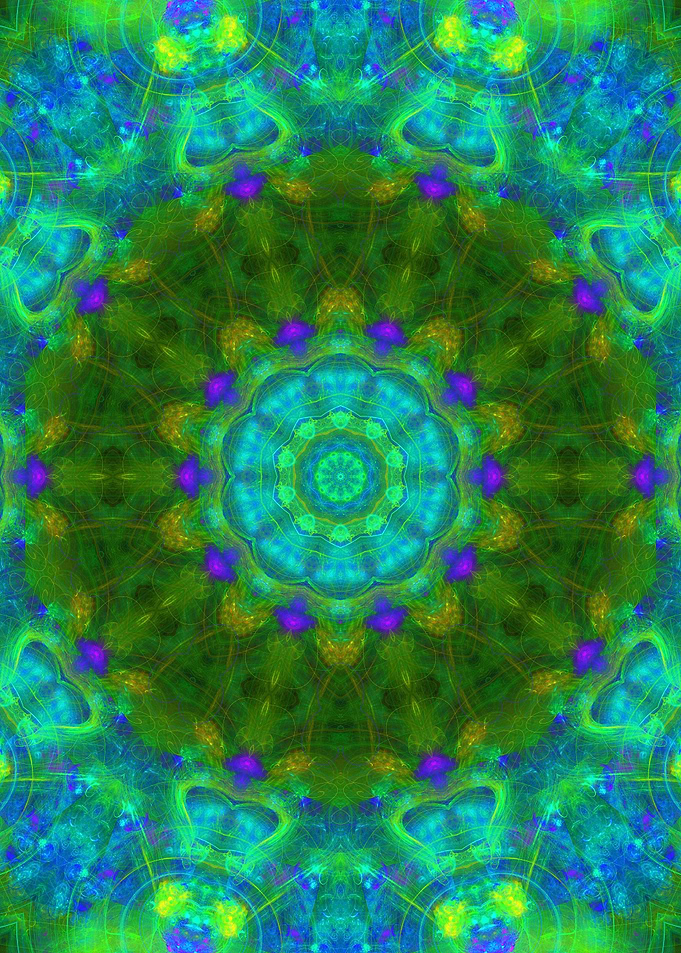 A Garden in the Sea