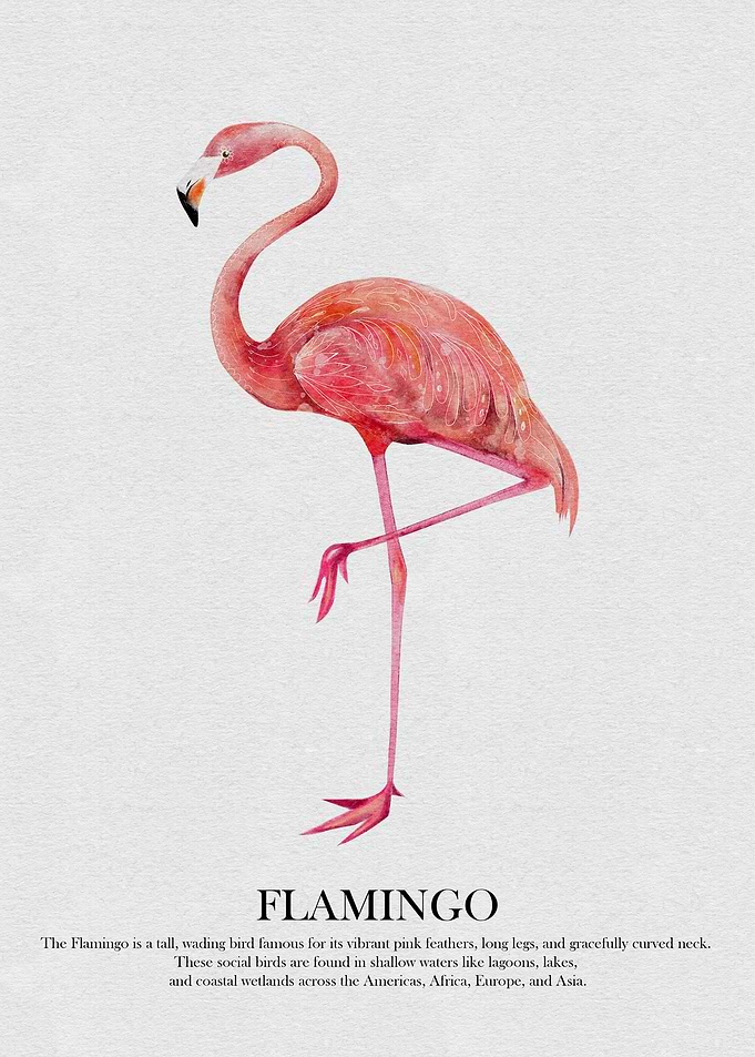 Pink Flamingo Watercolor