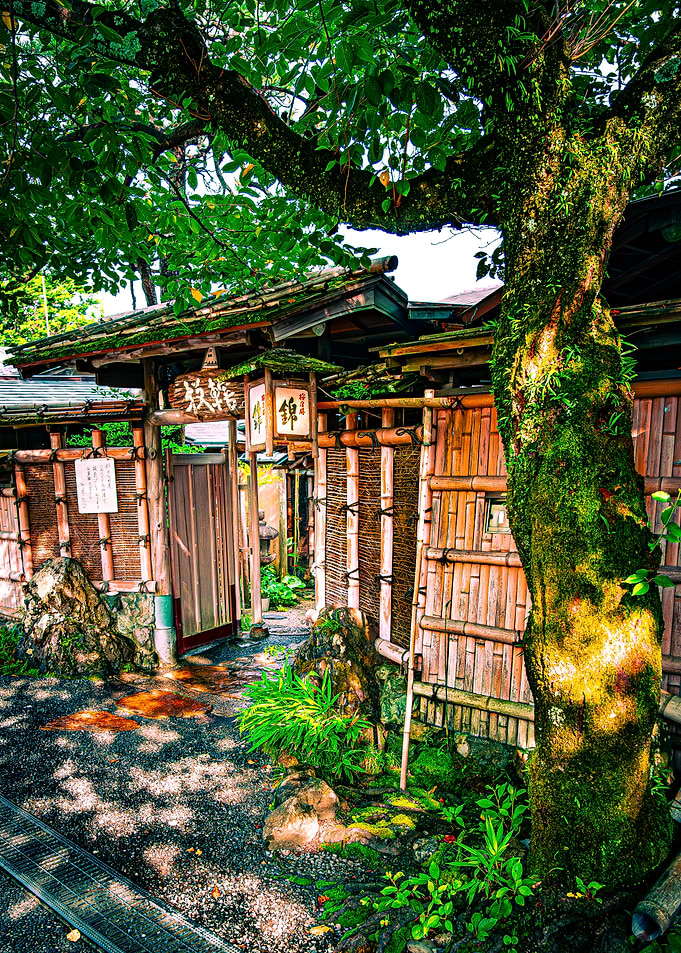 Japanese Garden Gate