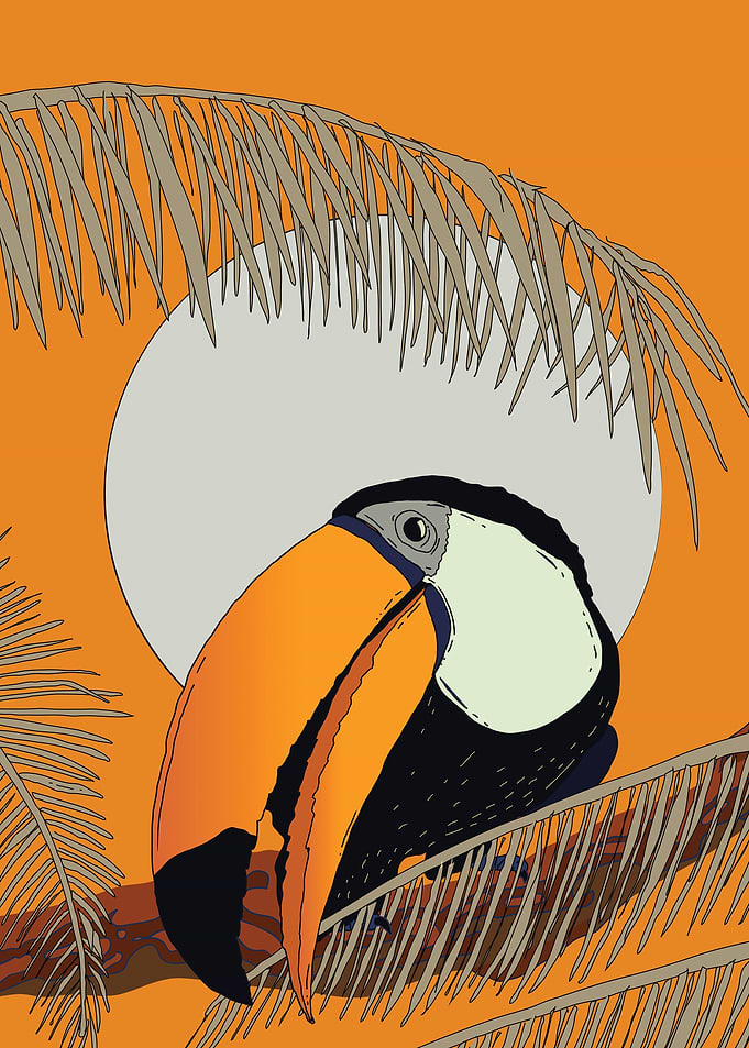 Toucan in Palm Tree