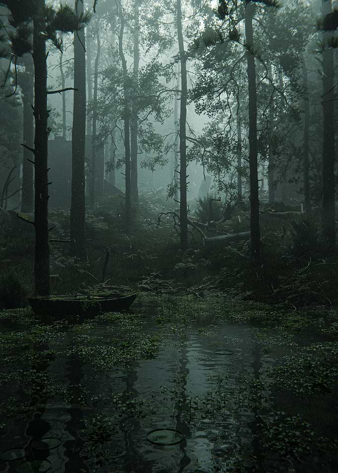 Misty Forest Lake