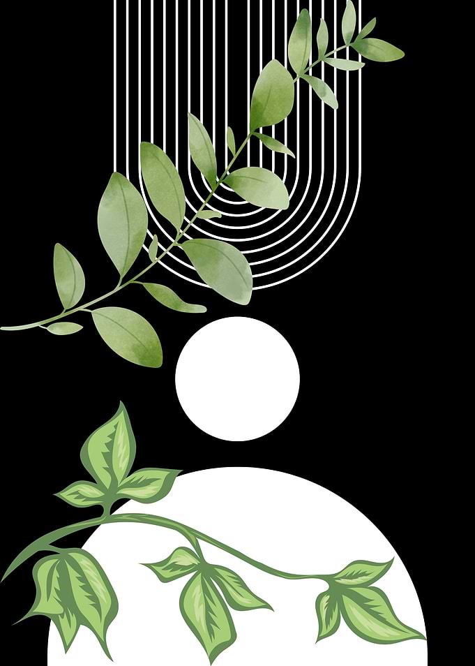 Green Leaves and White Arcs