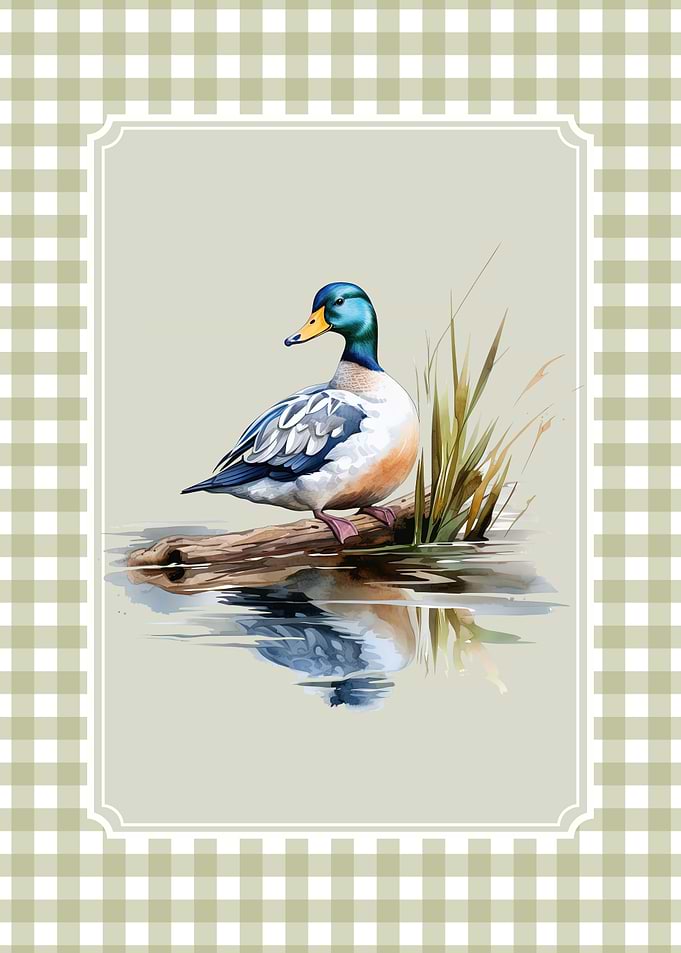 Mallard Duck Watercolor