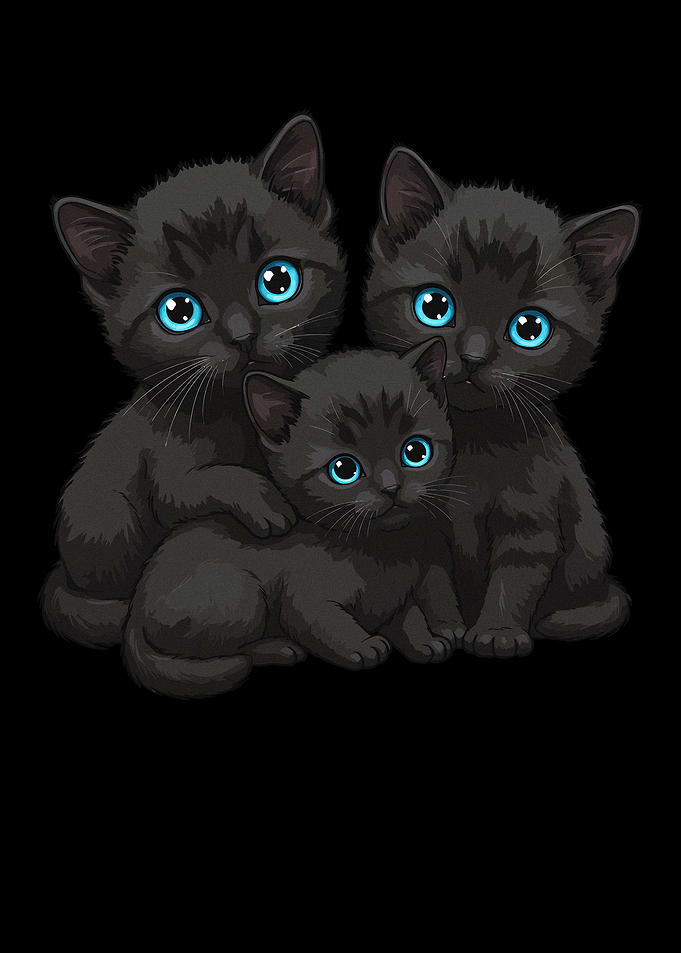 Three Black Kittens