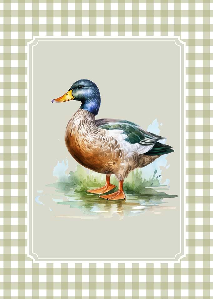 Watercolor Duck Illustration