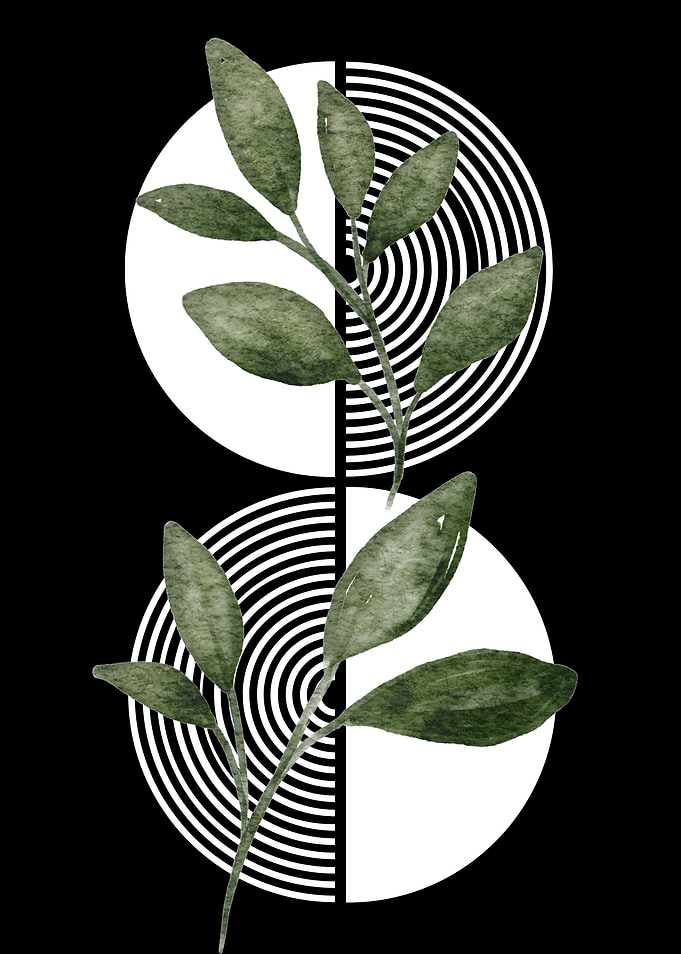 Green Leaves on Black and White