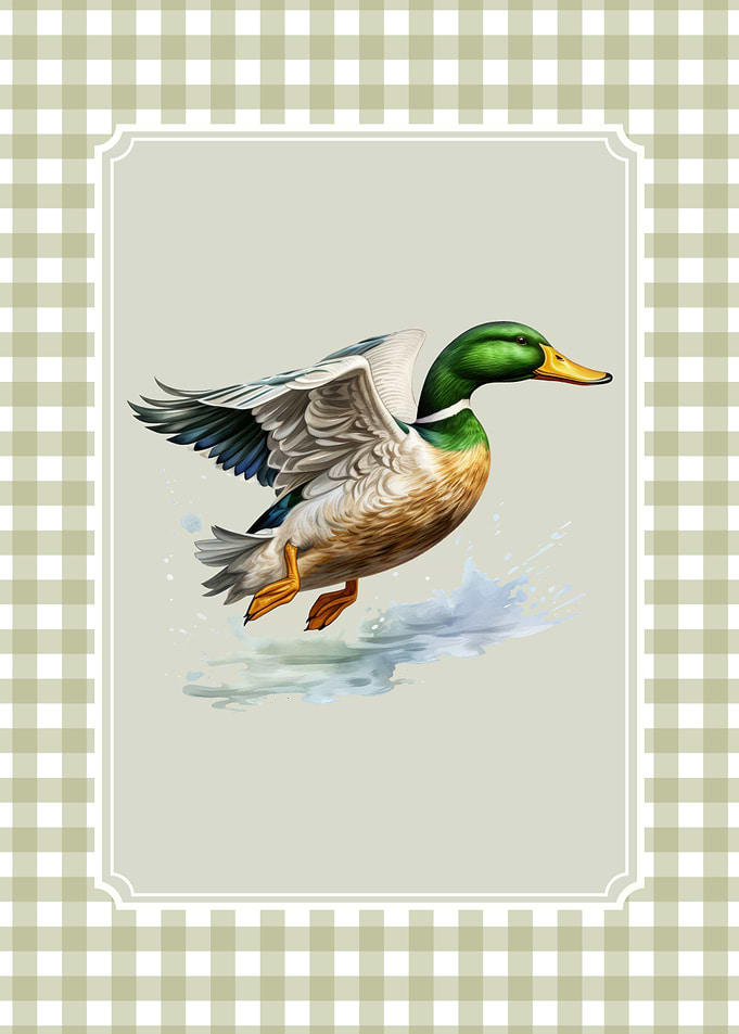 Mallard Duck Watercolor
