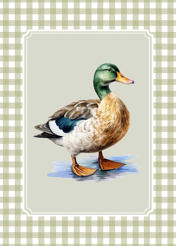 Watercolor Duck Illustration