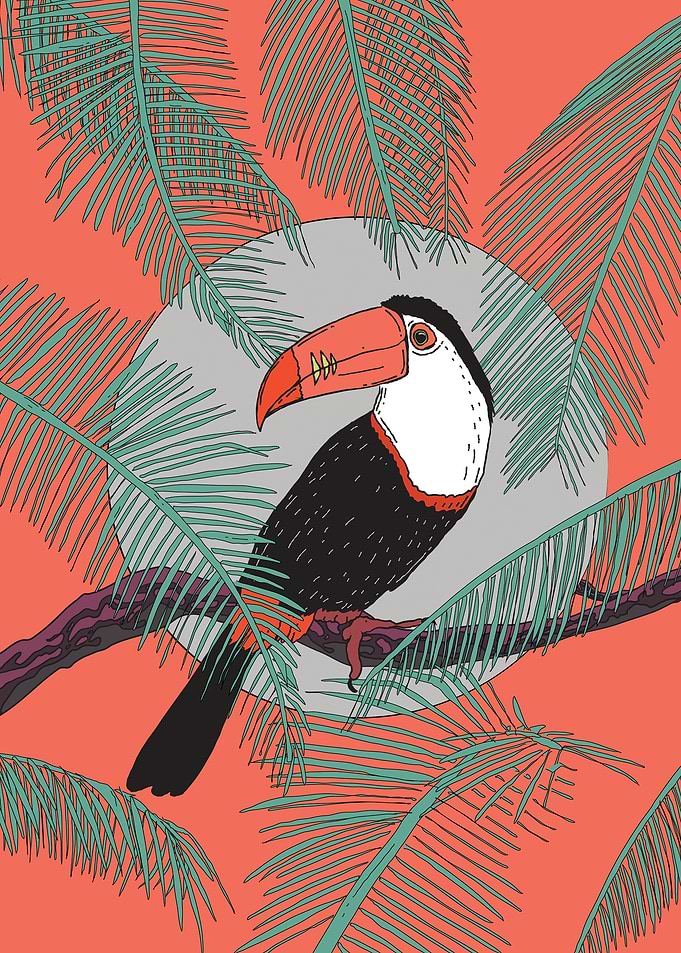 Toucan in Palm Trees