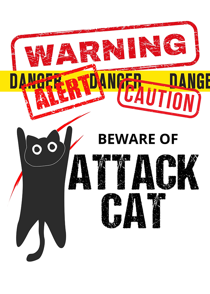 Beware of Attack Cat
