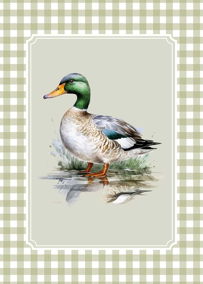Mallard Duck Watercolor