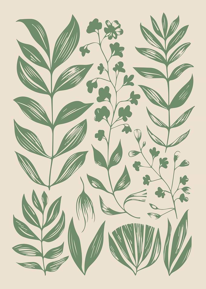 Botanical Sketches Minimalist Vintage Green Plants