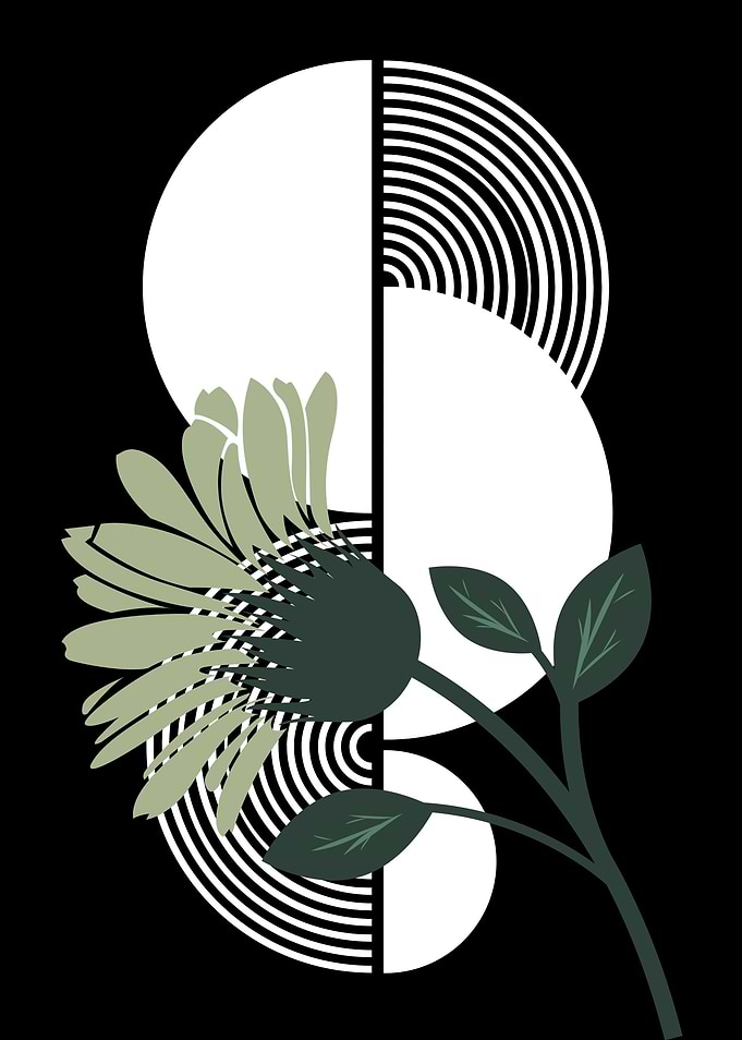 Floral Abstract Art