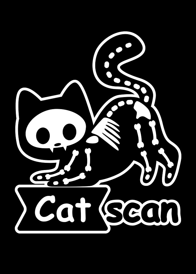 Cat Scan Illustration