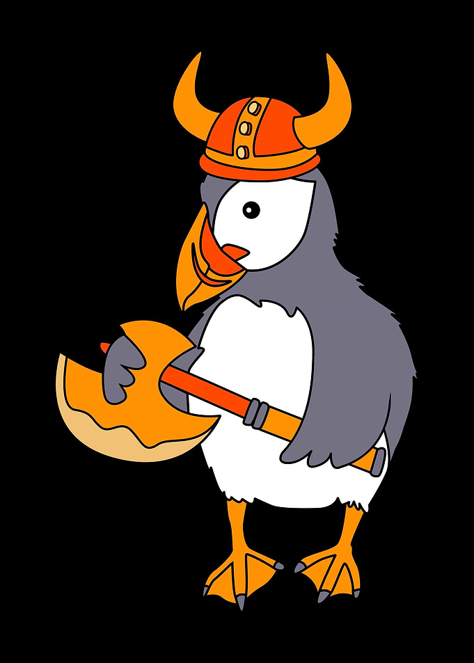 Viking Puffin Iceland