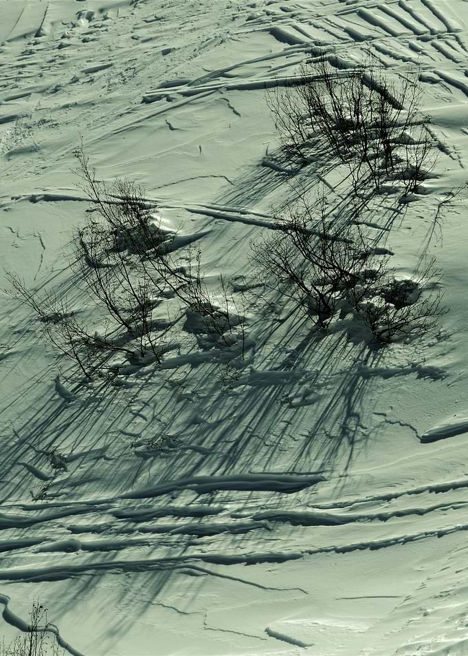 Winter Landscape with Shadows