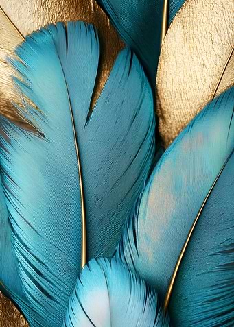 Feathers