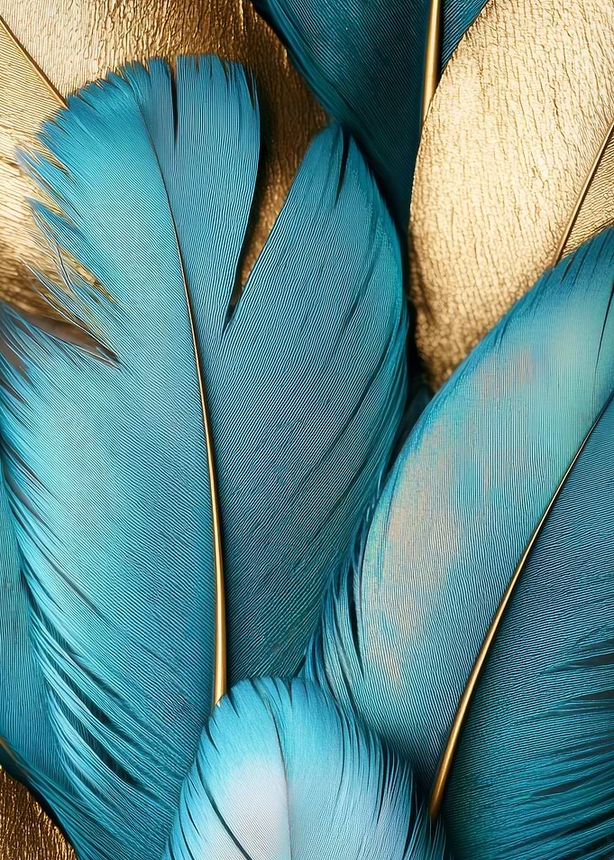 Feathers