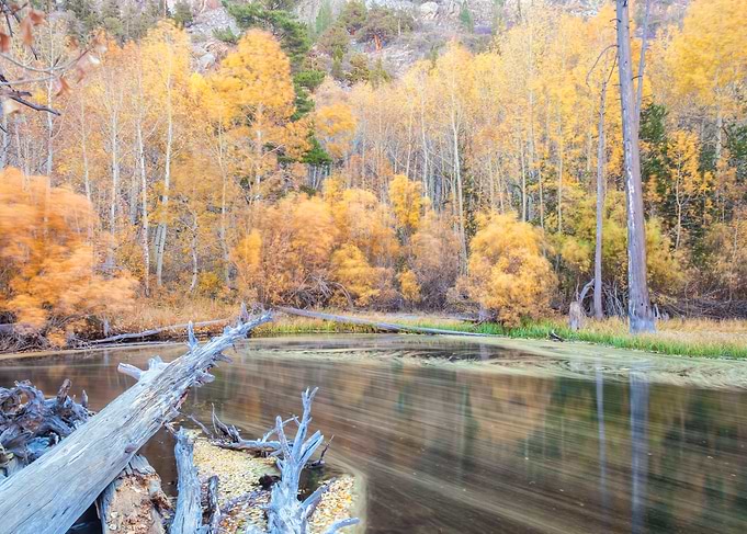 Autumn River Scene