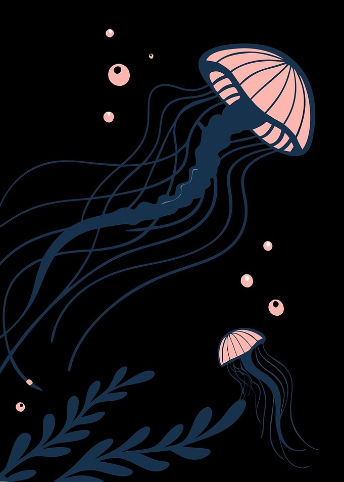 Pink Jellyfish Illustration