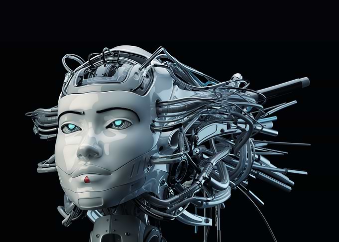 Cybernetic Female Head