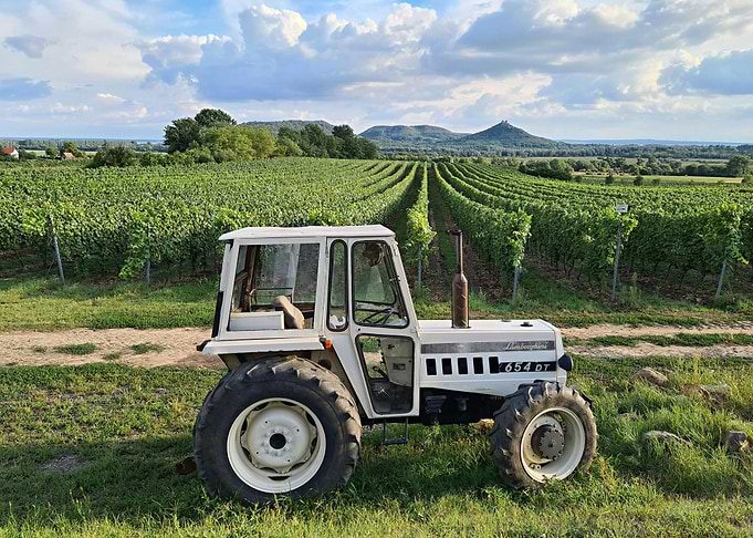 Lamborghini Tractor in Vineyard