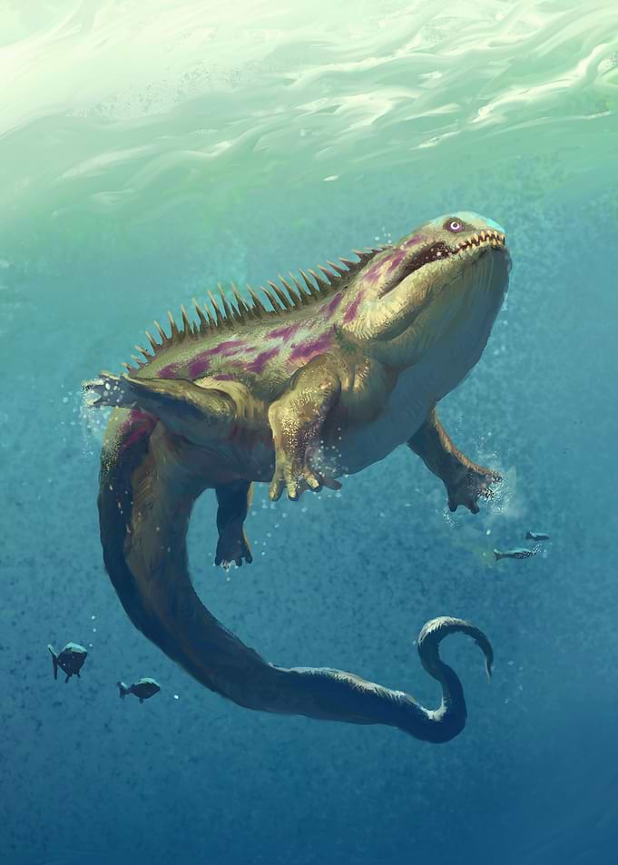 Leviathan, the Mother Denied