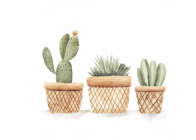 Watercolor Cactus Trio
