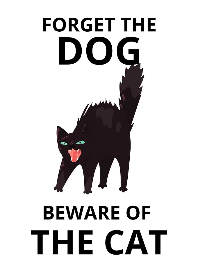 Beware of the Cat