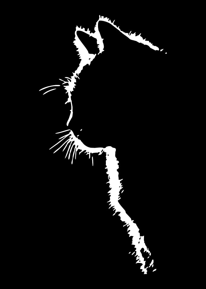 Cat Silhouette