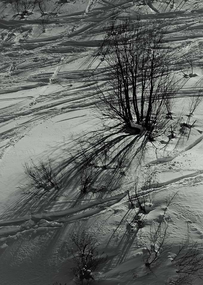 Winter Landscape with Tracks