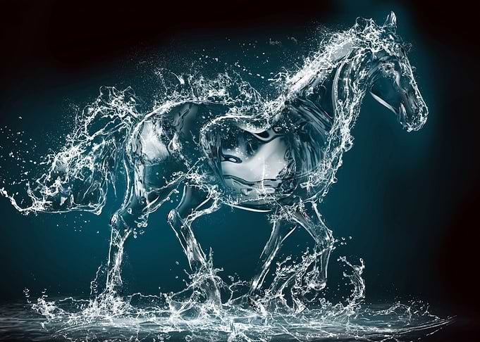 Water Horse