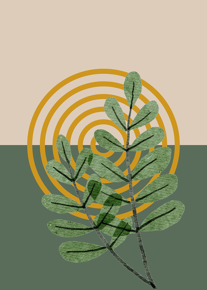 Green Leaves and Sun