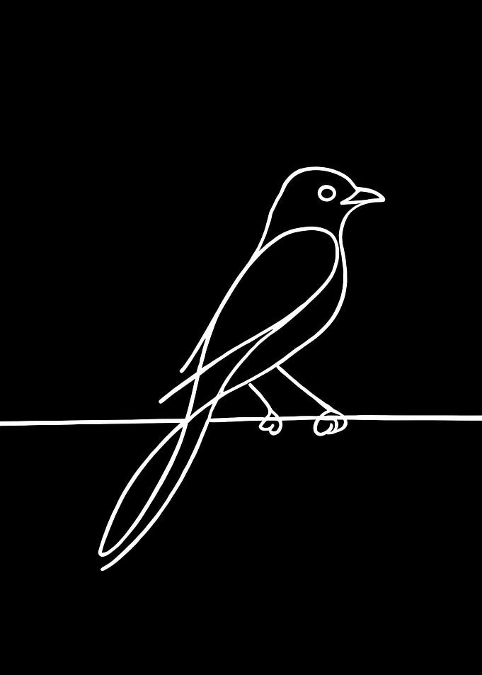 Single Line Bird
