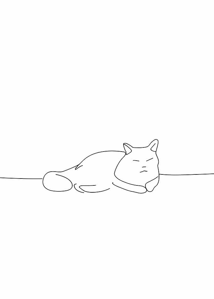 One Line Cat
