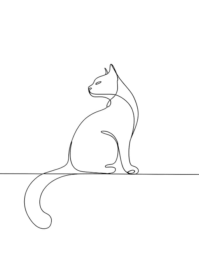 One Line Cat Drawing