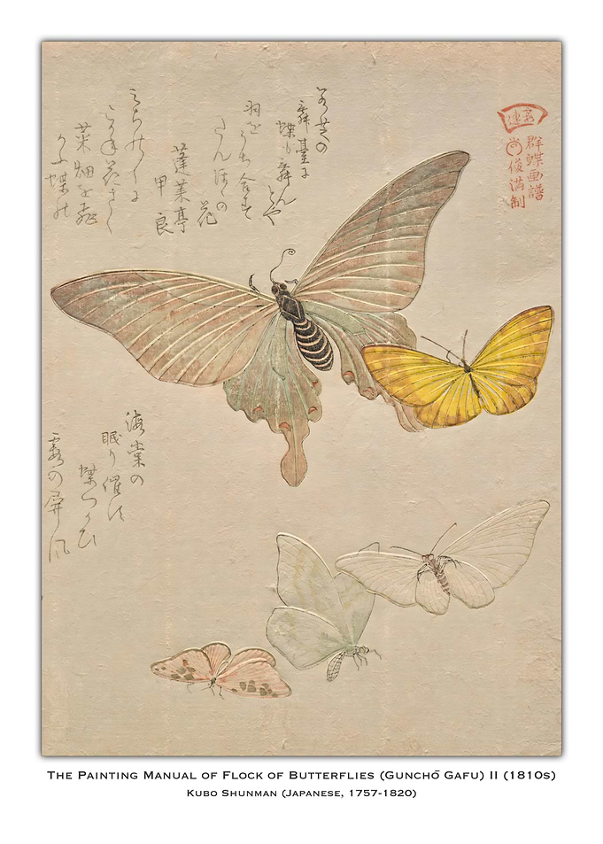 Japanese Butterfly Painting