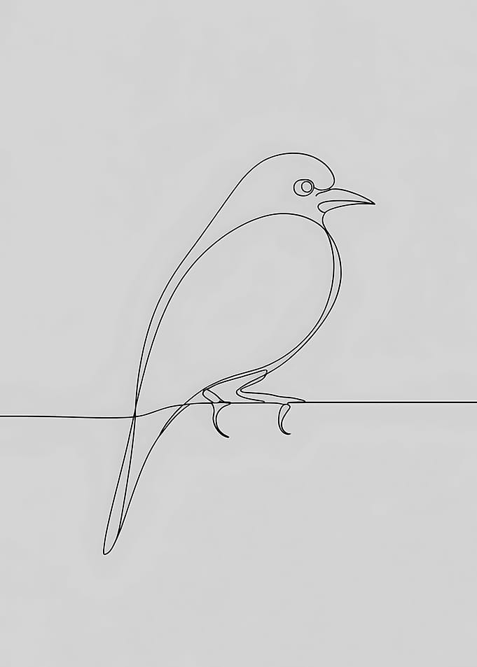 One Line Bird Drawing