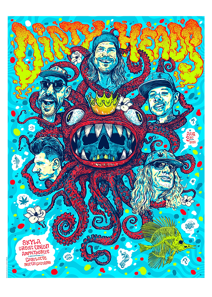 Dirty Heads Concert Poster