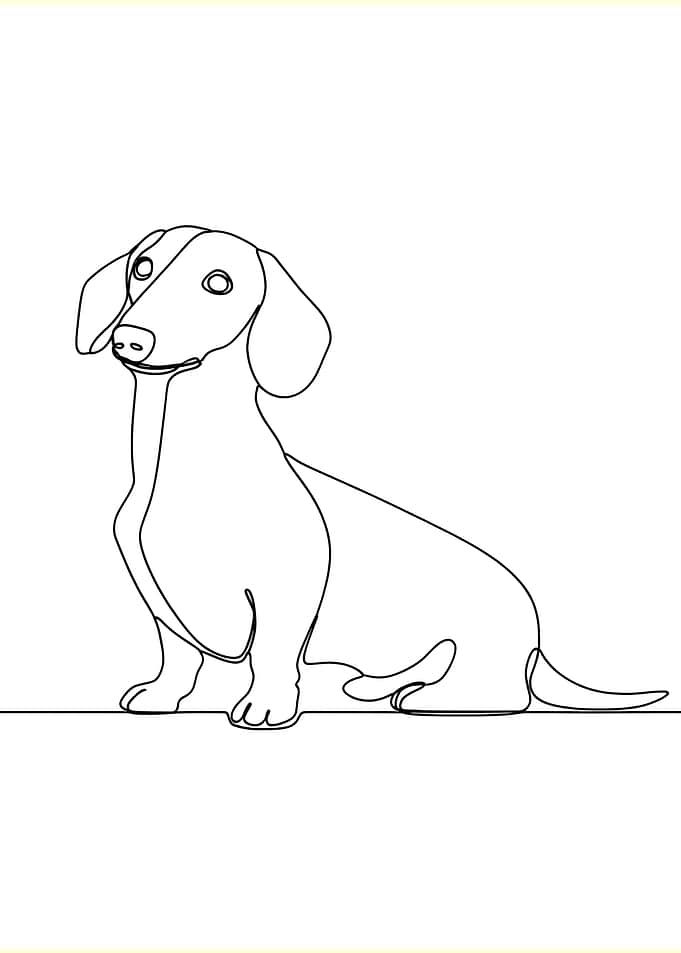 Dachshund Line Art
