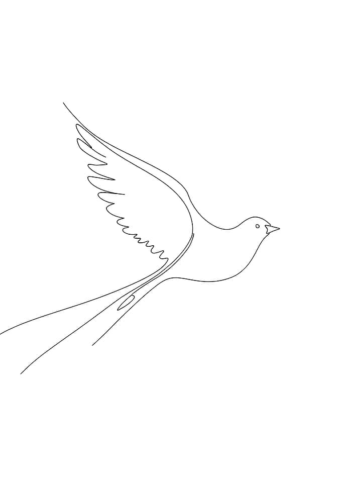 Single Line Bird