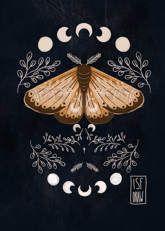 Moth and Moon Phases